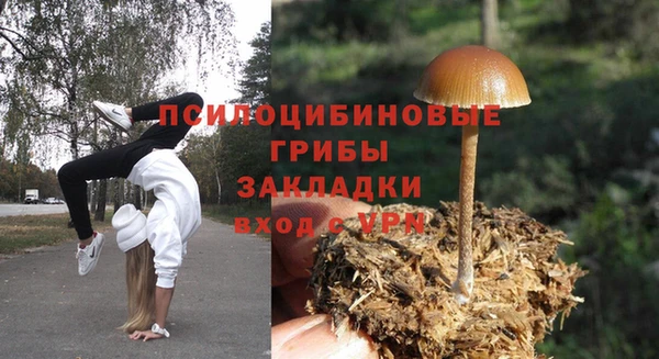 спайс Арсеньев