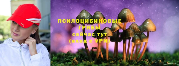 молекула духа Армянск