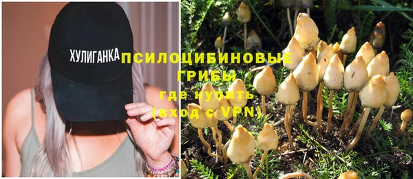 молекула духа Нефтегорск