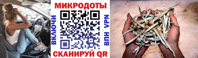 Галлюциногенные грибы Psilocybine cubensis Александров